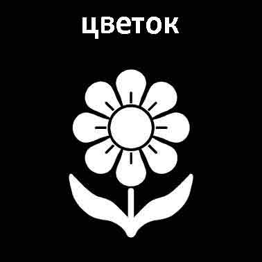 Цветок